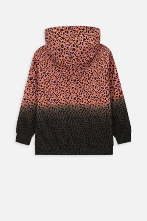 COCCODRILLO džemperis ar kapuci CITY EXPLORER JUNIOR, multicoloured, WC4132301CEJ-022-,  