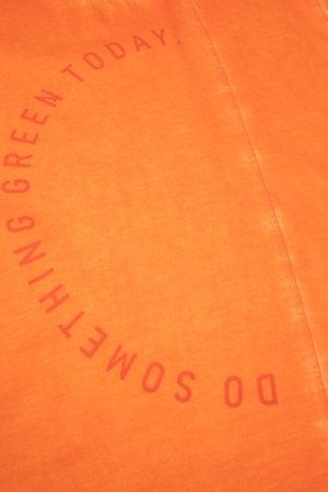 COCCODRILLO t-krekls ar īsam piedurknēm NATURE JUNIOR, oranži, WC4143205NAJ-006- 