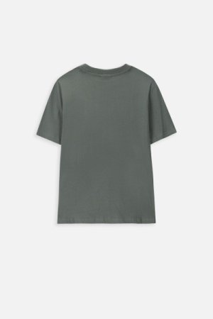 COCCODRILLO t-krekls ar īsam piedurknēm EVERYDAY BOY A, zaļš, WC4143215VBA-011- 