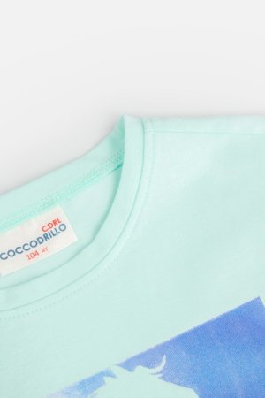 COCCODRILLO t-krekls ar īsam piedurknēm EVERYDAY GIRL A, mint, WC4143202VGA-031- 