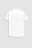 COCCODRILLO krekls ar īsam piedurknēm ELEGANT JUNIOR BOY, balts, WC3136202EJB-001 WC3136202EJB-001-104