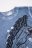 COCCODRILLO t-krekls ar īsam piedurknēm LICENCE BOY, zils, WC3143209LIB-014 WC3143209LIB-014-104